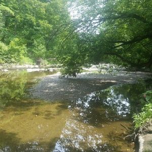 Meet your Posher, Patricia